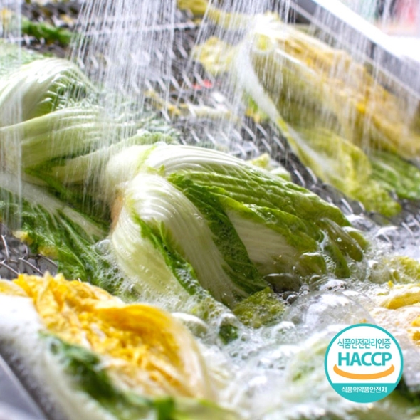 [예약배송] [농협] 한아름드린 해남 절임배추 20kg(6-9포기) / 도착일지정