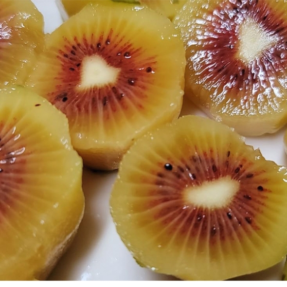 차원이 다른 맛과 당도 프리미엄 레드키위(푸)