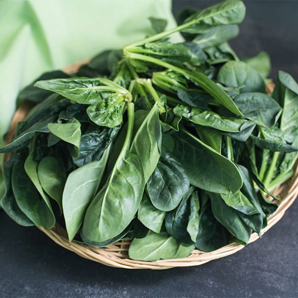 [신한카드 할인]  남해의 선물  보물초 시금치(푸)