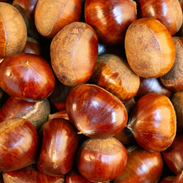 [자연속애] 충남부여 햇 알밤 1kg/2kg/3kg/5kg(대)