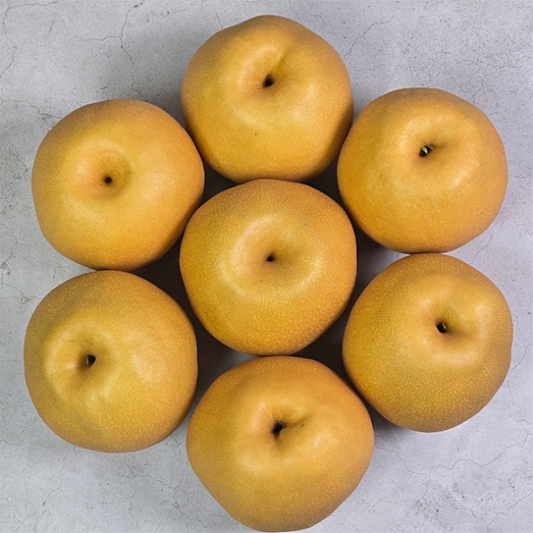 아삭하고 시원한 나주배