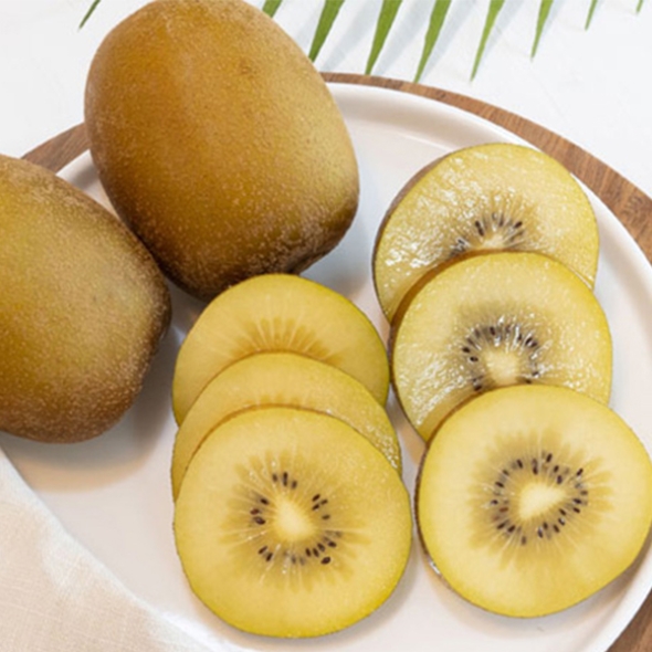 [키위최고] 국내산 키위 골드키위 1kg 2kg