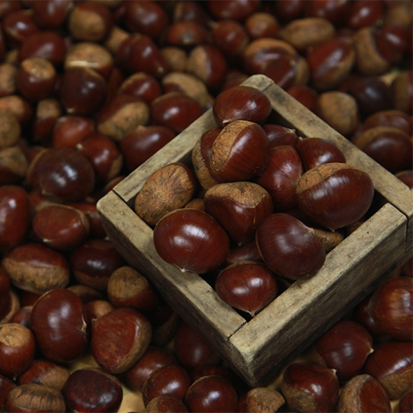 [신한카드 할인]  제철 가장 맛있는 국내산  햇 밤
