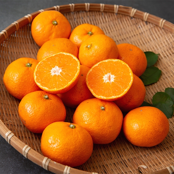 [신한카드 할인] 고당도 타이벡  감귤(푸)