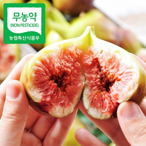 [만원의 행복][GAP인증] 당일수확 무농약 무화과 400g/800g/1.6kg