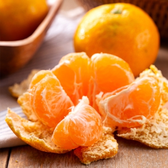 [만원의 행복]제주 조생종 노지감귤 실중량 2.5kg 4.5kg 9kg