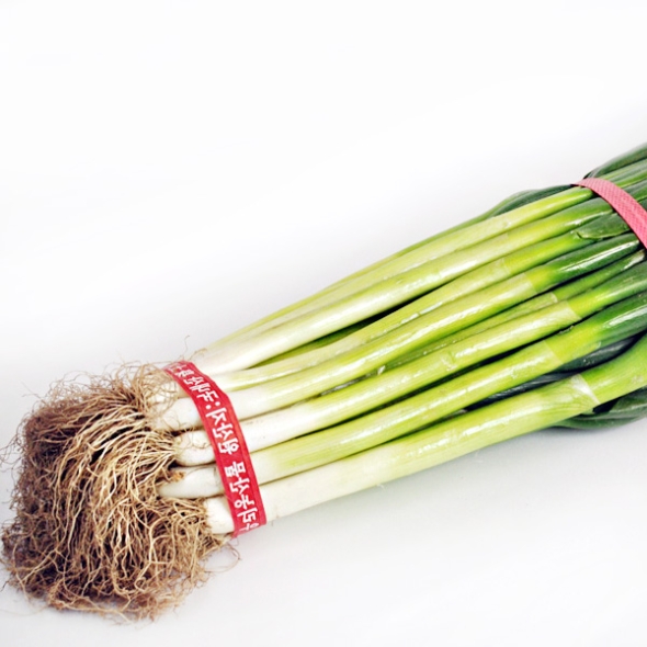 [농협] 한아름드린 신선 대파 2kg/4kg(특)