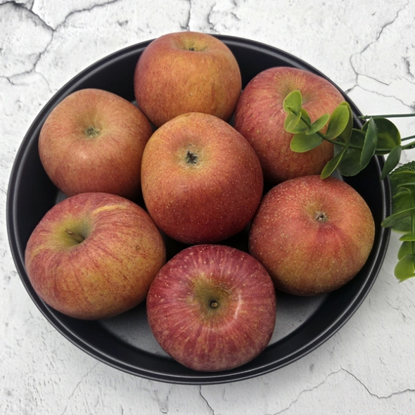 [산지직송] 경북 부사_고당도_산사과 [1kg-5kg]