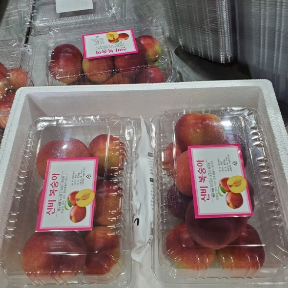 달콤한 과즙 고당도 신비복숭아(푸)