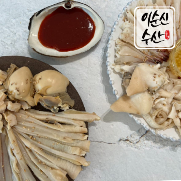 다이버가 채취한 자연산  왕우럭 코끼리 조개 1kg