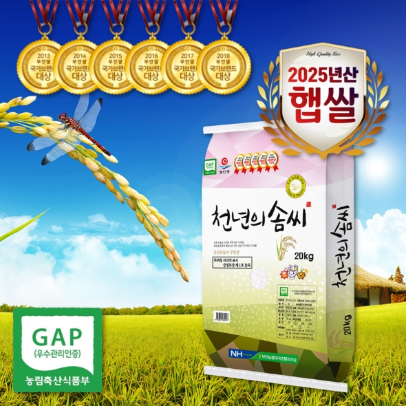 [천년의솜씨] 25년 GAP인증 간척지쌀 신동진쌀 20kg(상등급)