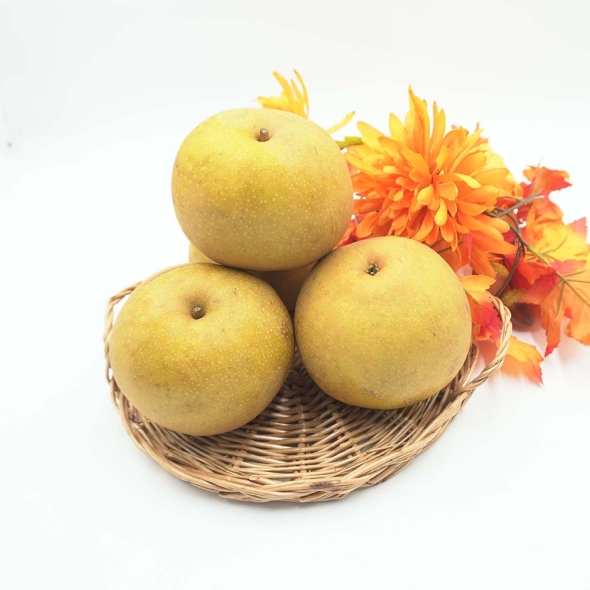 [만원의 행복] 세계가  인정한  맛의  기준  상주  만풍배  2.5kg/5kg