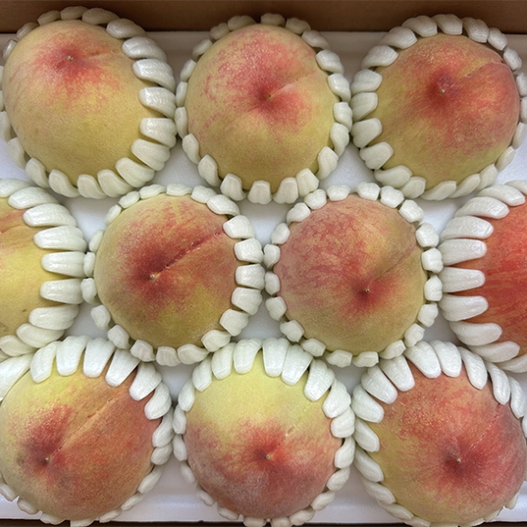 프리미엄  말랑이  복숭아(푸)
