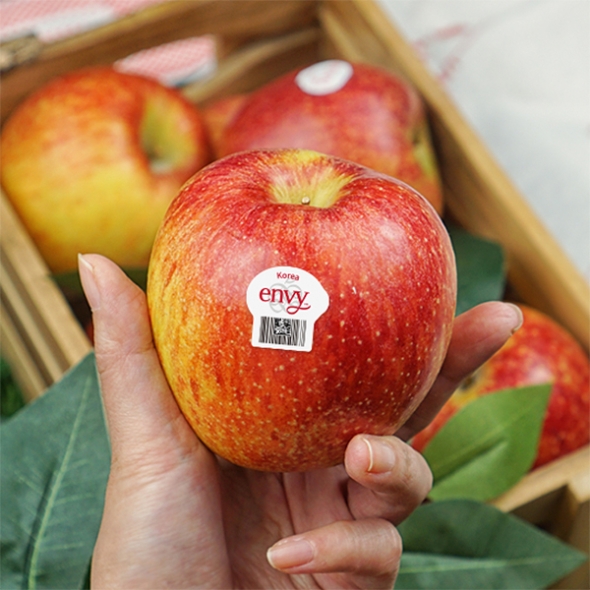 [주말특가] 고당도 프리미엄  엔비사과(푸)