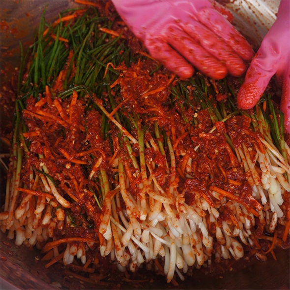 익을수록 더 맛있는 파김치(푸)