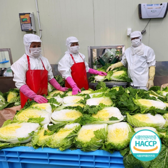 [예약배송] [농협] 한아름드린 해남 절임배추 20kg(6-9포기) / 도착일지정