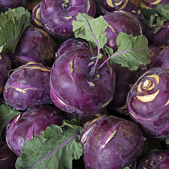 [신한카드 할인][흙이음] 국산 콜라비 혼합과 3kg