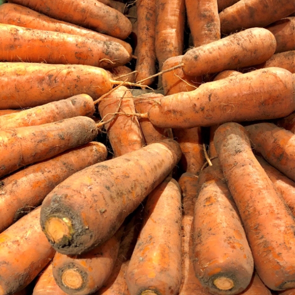 [농협] 한아름드린 채소3종 감자2kg(특)+고구마2kg(특상)+흙당근1kg(상)