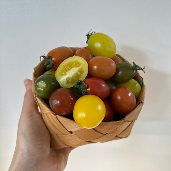 저칼로리 간식 컬러 방울토마토