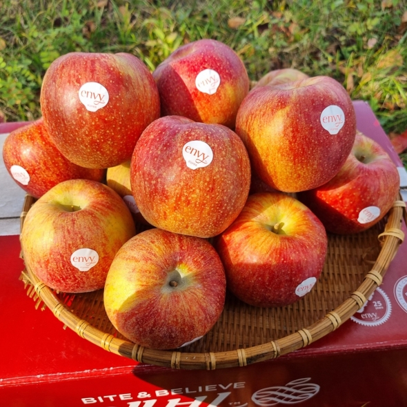  [특별할인]가을을 시작하는 달콤한 아침 정품 엔비 사과 2kg/3kg/5kg