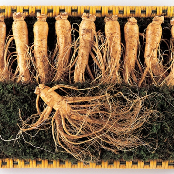  [名品] 금산인삼 선물용 포장 수삼세트(1000g)(24~28뿌리)