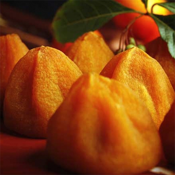 전통방식의 반건시 영동곶감(푸)