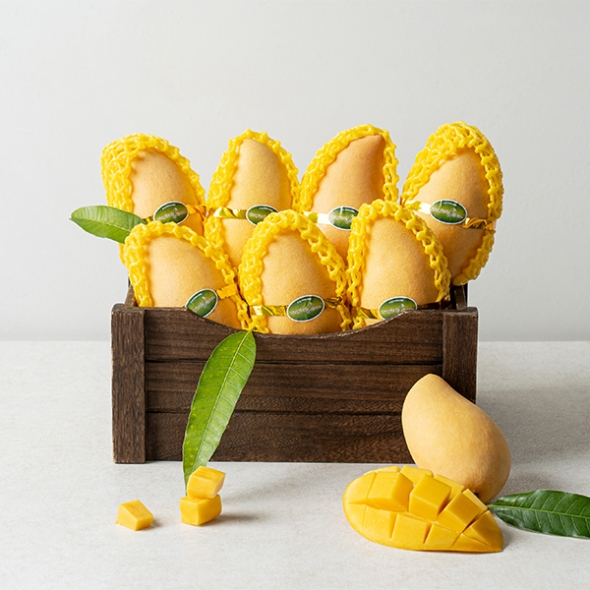 압도적 당도의 남독마이 골드망고