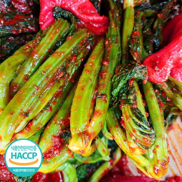 [김장철] 쌉쌀한맛이 일품인 돌산갓김치(푸)