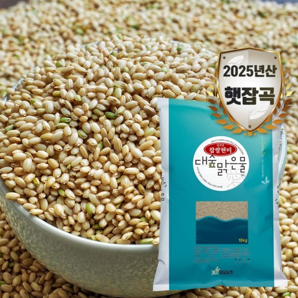 [대숲맑은물애] 25년 천년담양 찹쌀현미10kg