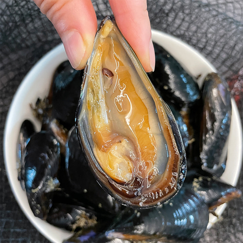 [11월제철!] 통영 거제 손질 홍합살 500g 육수용 홍합 탕 생홍합살