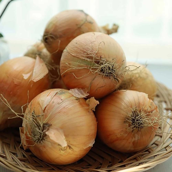 아삭아삭  달큰한  양파  (2kg/3kg/5kg/10kg)