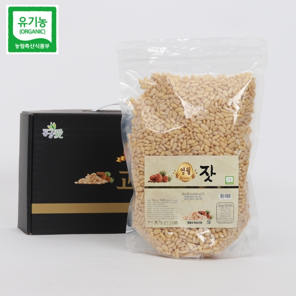[25년산] 강원도 영월 유기농 잣 선물세트 500g / 600g / 1kg