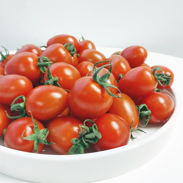 [만원의 행복][토마캄스] 대추 방울 토마토 2kg 3kg 5kg 중대과 로열과 혼합