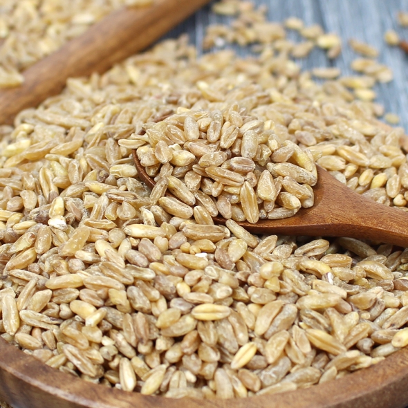 (25년산) 홍성농부의 국내산 호라산밀 1kg 카무트 국내산