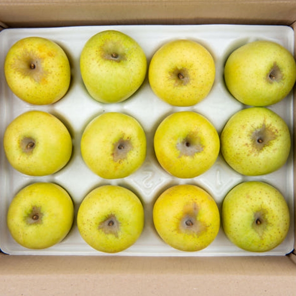 [특별할인][클래식농원] GAP, 저탄소 괴산 시나노골드 3kg 11~13과(중)