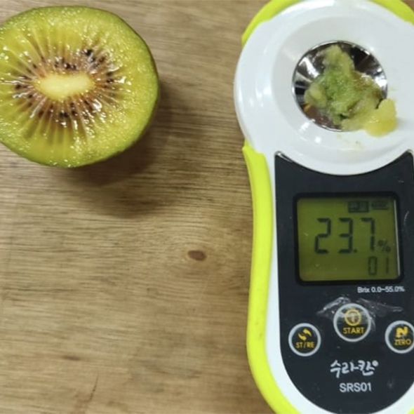 차원이 다른 맛과 당도 프리미엄 레드키위(푸)