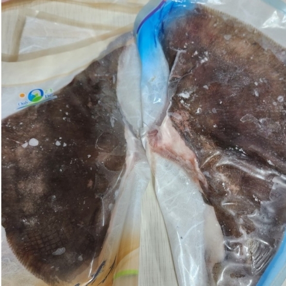 홍지수산 국내산 삭히지않은 싱싱 생가오리  가오리찜 실속형 날개만 300g 이상