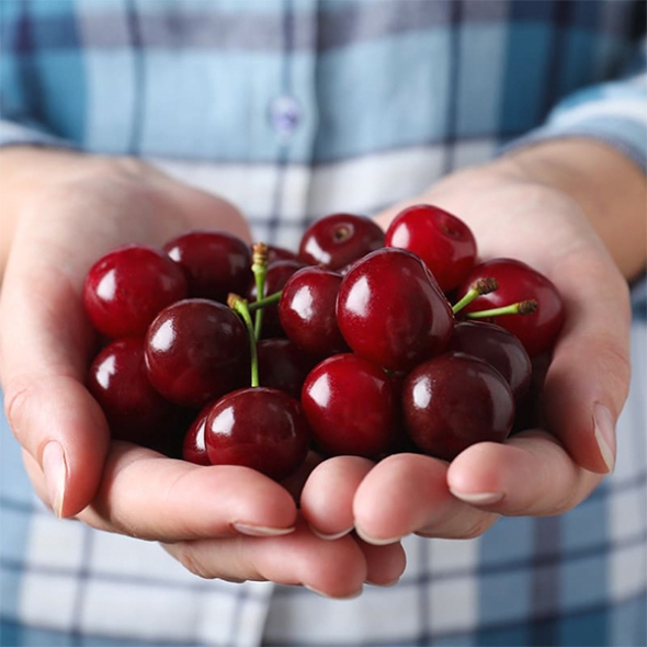 [주말특가] 프리미엄 생체리(푸)