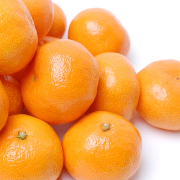 [푸토리] 새콤달콤 제주 타이백 감귤 5kg / 소과 / 대과 / 로얄과