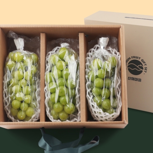 샤인머스캣 선물세트 3수(2kg 내외) 손잡이 고급선물박스 단체선물