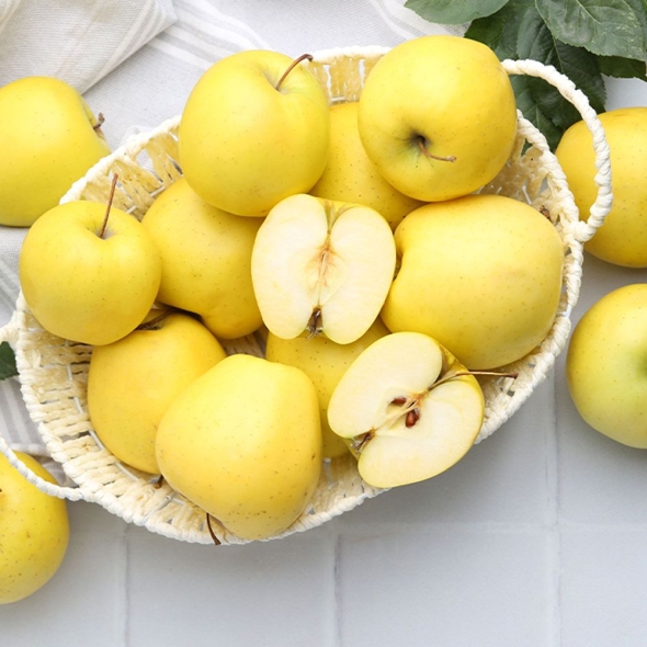 [향기담은] 경북 시나노골드 사과 2kg/3kg/5kg (정품)