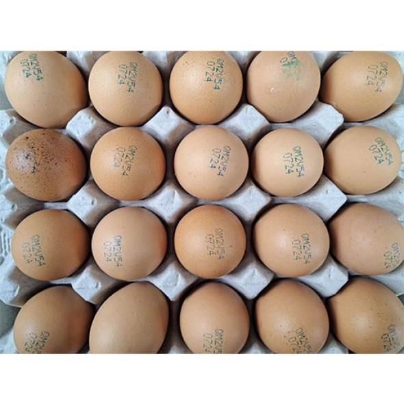 평창양계 生生우리알 왕란30알+30알 착한마음 아저씨쌀집