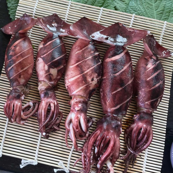 [미가원] 통찜용 총알 오징어 500g/1kg/2kg