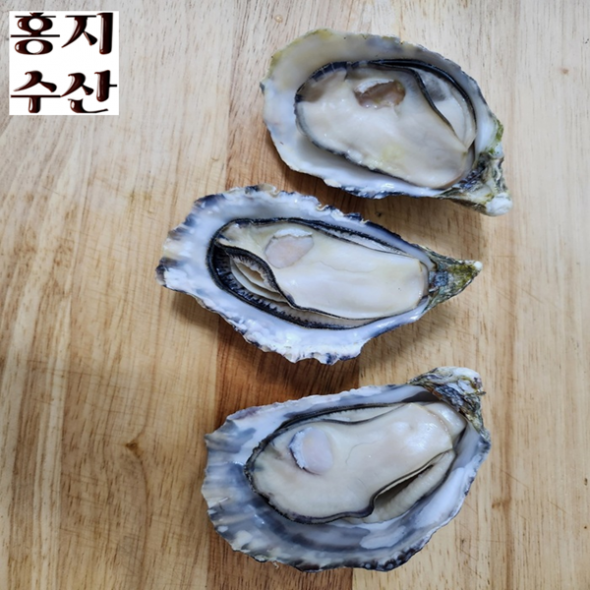 홍지수산 고흥석화 삼배체굴 4-8개 1kg  프리미엄 수출굴