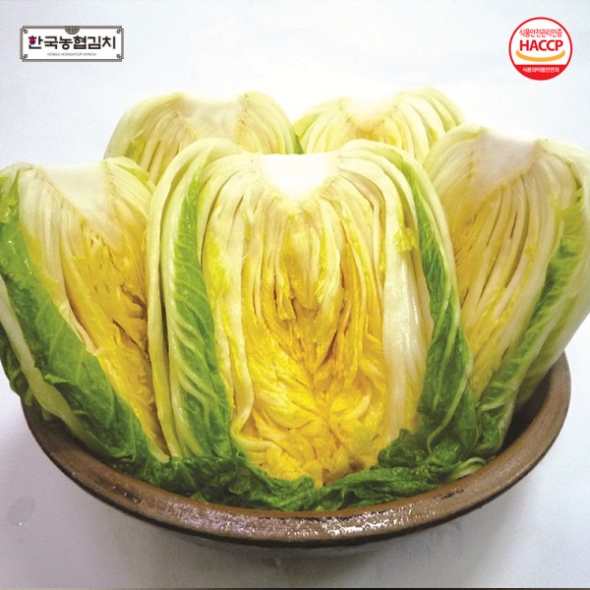 [예약배송] [한국농협김치] 전북대표 마이산 절임배추 10kg(4-6포기) /도착일 지정