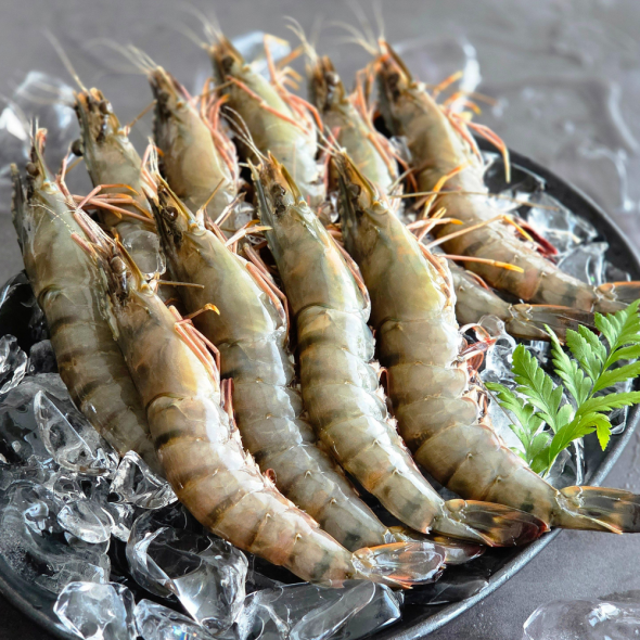 블랙타이거새우 대하 새우구이 새우장 500g 10미