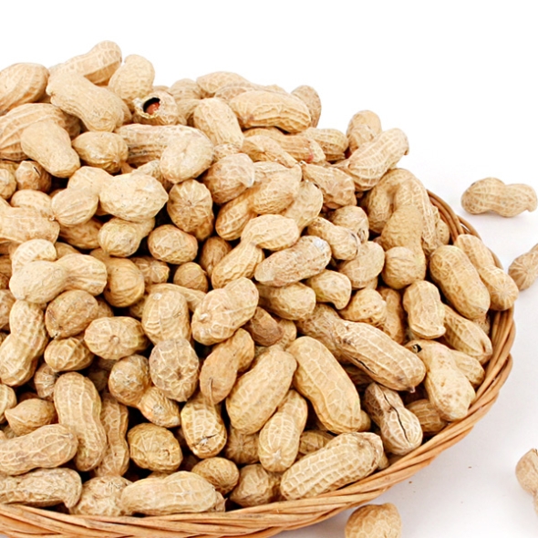 [농협공판장] 정성드린 볶음 피땅콩 1kg/2kg/3kg (팩당1kg)