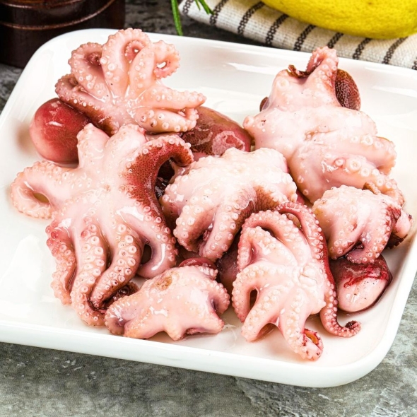 [미가원] 손질통 왕 쭈꾸미 (총350g/700g내외)