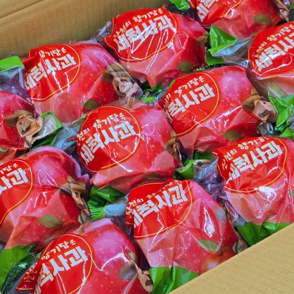 [향기담은] 경북 고당도 세척 꿀부사 2kg/3kg/5kg (가정용)