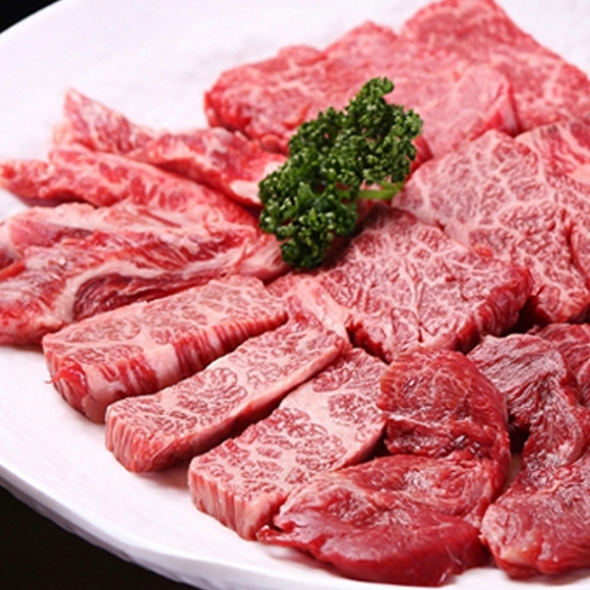 [청년미트] 1등급 한우 모듬구이 450g (등심+채끝+특수부위)